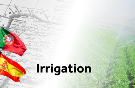 Iberian Irrigation Feature Image (1)