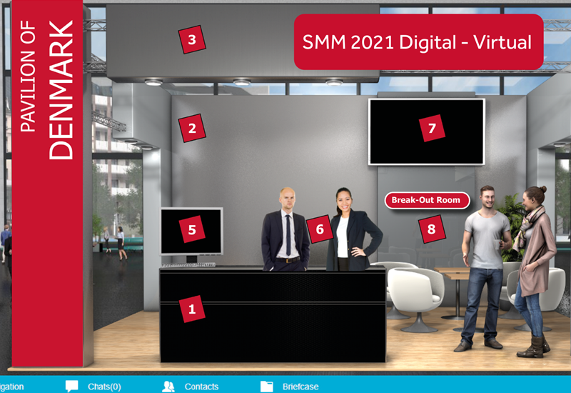 SMM 2021 Digital Virtual Pic 4